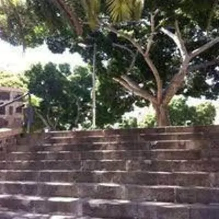 Apartment Bright Lovely Quiet Flat Very Centric In Sc *