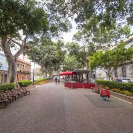 Apartment Bright Lovely Quiet Flat Very Centric In Sc Santa Cruz de Tenerife
